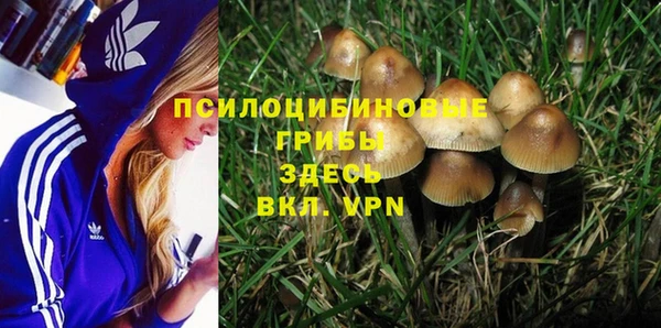 PSILOCYBIN Вязники